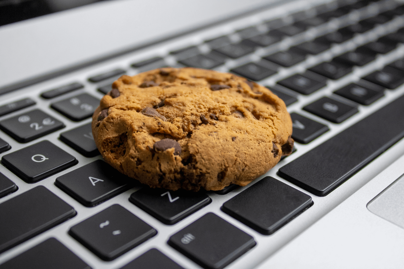 Czas na dietę, czyli internet bez plików cookie